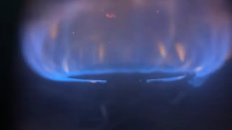 Blue burner flame inside a gas water heater combustion chamber during a gas water heater repair check